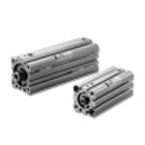 10S-6GD - Double acting non-rotating double rod